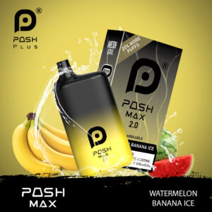 Posh Max 2.0-Watermelon Banana Ice-Rechargeable Disposable pod System