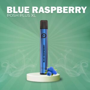 Posh Plush XL 1500 Rechargeable -Blue Raspberry