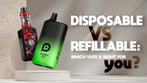 Disposable VS Refillable Vape: Which is Right for you?