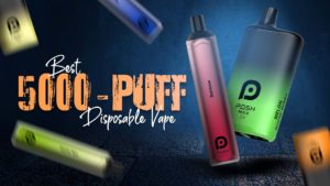What is the Best 5000-Puff Disposable Vape By NowPosh?
