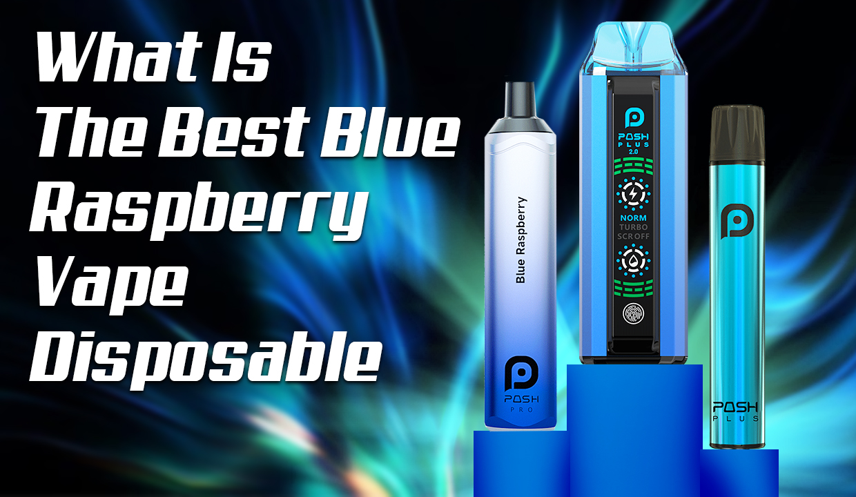 What Is The Best Blue Raspberry Vape Disposable?